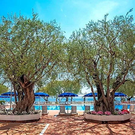 Otel Torre Oliva
