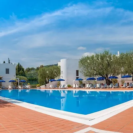 Hotel Torre Oliva 4*
