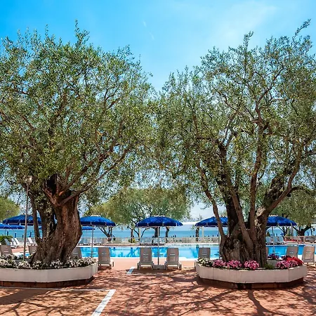 Torre Oliva 4*